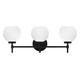 Hannah Three Light Bathroom Vanity (V6-L8-9621-3-BK)