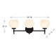 Hannah Three Light Bathroom Vanity (V6-L8-9621-3-BK)