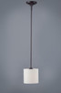 manufacturer_finish:Oil Rubbed Bronze