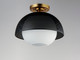 Perf One Light Flush Mount (10083WTBKSBR)