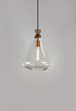 Abbott One Light Pendant (10101CLWOAB)
