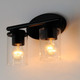 Corona Two Light Bath Vanity (10212CLBK)