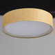 Prime LED Flush Mount (10222GC)