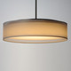 Prime LED Pendant (10224WOSN)