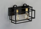 Liner Two Light Bath Vanity (10242BKSBR)