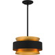 Quoizel - QP5570EK - Three Light Pendant - Quoizel Pendant - Earth Black