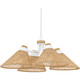 Quoizel Pendant Four Light Pendant (QP6218W)