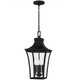 Quoizel - QTN1510EK - Four Light Pendant - Quentin - Earth Black
