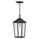 Quoizel - STNL1509MB - One Light Mini Pendant - Stoneleigh - Mottled Black