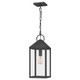 Quoizel - TPE1508MB - One Light Mini Pendant - Thorpe - Mottled Black