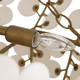 Bilal Eight Light Chandelier (DLS14)