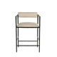 Barbana Counter Stool (FSI19)