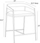 Ansel Counter Stool (FSI21)