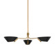 Troy Lighting - F8143-PBR/SBK - Three Light Chandelier - Sacramento - Patina Brass