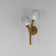 Blossom LED Wall Sconce (E32792-93NAB)