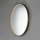 Mirror LED Mirror (E42012-90BRZ)