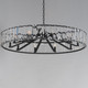 Odeon Ten Light Chandelier (21869BCBK)