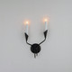 Calyx Two Light Wall Sconce (24342BK)