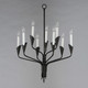 Calyx Nine Light Chandelier (24349BK)