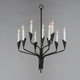 Calyx Nine Light Chandelier (24349BK)