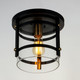 Capitol One Light Flush Mount (2641BKAB)