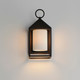 Aldous One Light Outdoor Wall Sconce (30071SWBK)