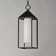 Aldous One Light Outdoor Pendant (30079SWBK)