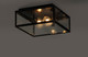 Catalina Two Light Outdoor Ceiling Mount (30098CLDBZ)