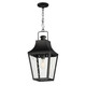 Maxim - 30369CLBK - One Light Outdoor Pendant - Storybook - Black