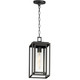 Maxim - 3039CDBK - One Light Outdoor Pendant - Cabana - Black