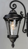 Sentry One Light Outdoor Wall Lantern (3054WGBK)