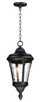 Maxim - 3058WGBK - One Light Outdoor Hanging Lantern - Sentry - Black