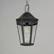 Oxford One Light Outdoor Pendant (30596CLBK)