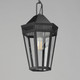 Oxford One Light Outdoor Pendant (30596CLBK)