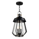 Maxim - 30623CDBKAB - Two Light Outdoor Pendant - Mariner - Black / Antique Brass