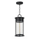 Maxim - 30636CDBKP - One Light Outdoor Pendant - Windsor - Black Patina