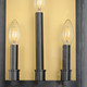 Manchester Three Light Outdoor Wall Sconce (30756CLBK)