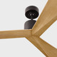 Adler 52 52" Ceiling Fan (3ADR52MBK)
