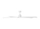 Aspen Coastal 70 70" Ceiling Fan (5ASPCR70RZW)
