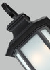 manufacturer_finish:Black|light_source:Unspecified|light_output:Unspecified|color_temperature:Unspecified|cri:Unspecified