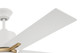 Teana 52" Ceiling Fan (TEA52WSB4)