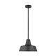 manufacturer_finish:Black|light_output:Unspecified|color_temperature:Unspecified|cri:Unspecified