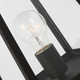 manufacturer_finish:Black|light_output:Unspecified|color_temperature:Unspecified|cri:Unspecified