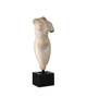 Currey and Company - 1200-0798 - Goddess Venus - Goddess Venus - Aged Beige/Black