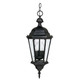 Capital Lighting - 9724BK - Three Light Outdoor Hanging Lantern - Carriage House - Black