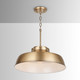 Oakwood One Light Pendant (9D328A)
