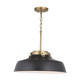Oakwood One Light Pendant (9D331A)
