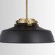 Oakwood One Light Pendant (9D331A)