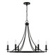 manufacturer_finish:Black Iron