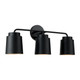 manufacturer_finish:Matte Black|manufacturer_glass:Matte Black Metal Shade with Soft Gold Interior